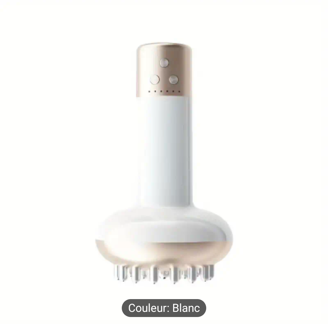 Brosse de Massage